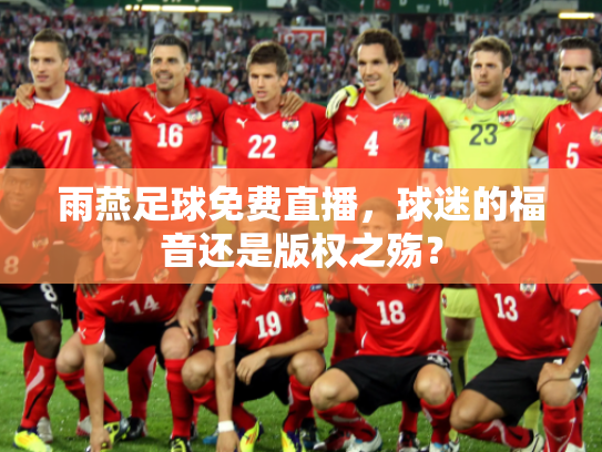 雨燕足球免费直播，球迷的福音还是版权之殇？