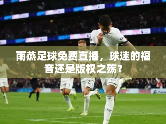 雨燕足球免费直播，球迷的福音还是版权之殇？