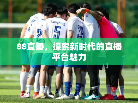 88直播，探索新时代的直播平台魅力