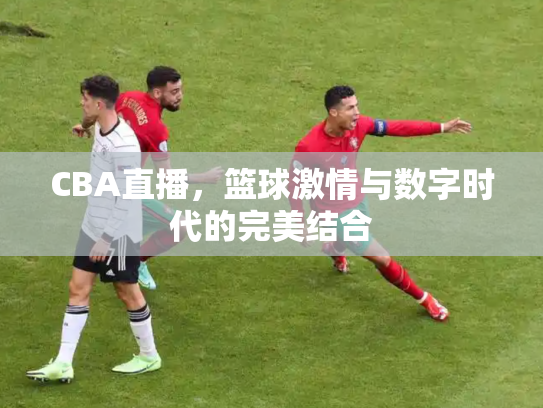 CBA直播，篮球激情与数字时代的完美结合