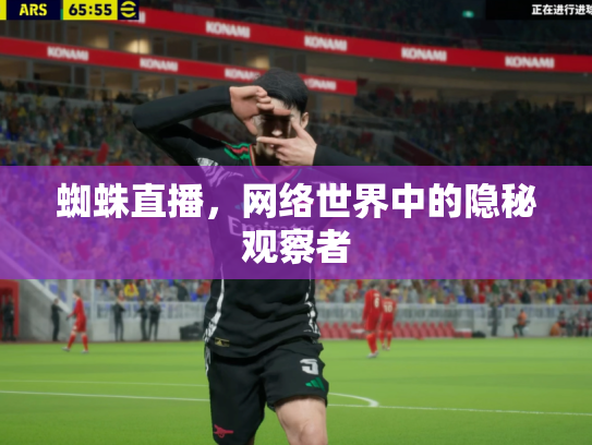 蜘蛛直播，网络世界中的隐秘观察者