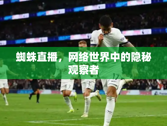 蜘蛛直播，网络世界中的隐秘观察者