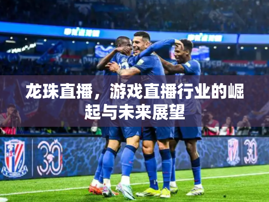 龙珠直播，游戏直播行业的崛起与未来展望