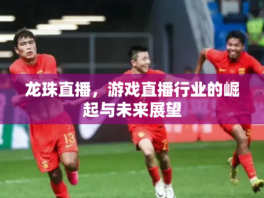 龙珠直播，游戏直播行业的崛起与未来展望