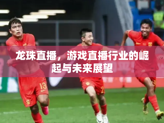龙珠直播，游戏直播行业的崛起与未来展望