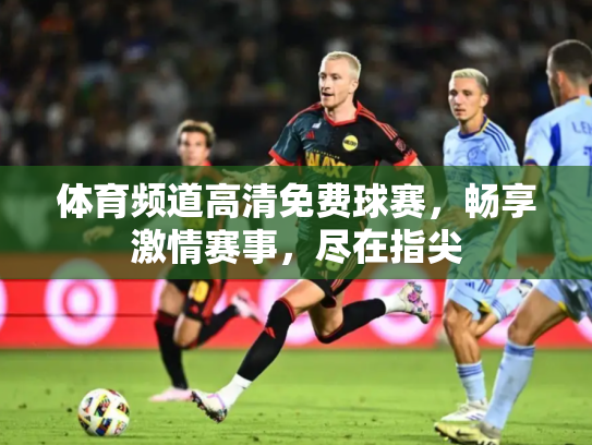 体育频道高清免费球赛，畅享激情赛事，尽在指尖