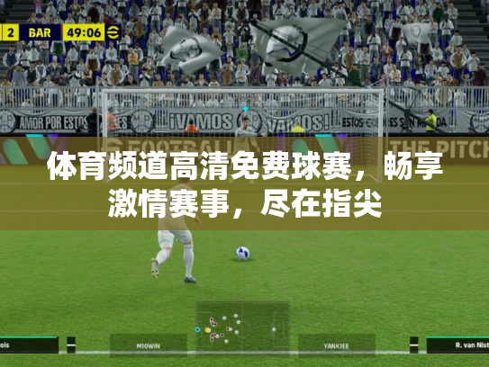 体育频道高清免费球赛，畅享激情赛事，尽在指尖