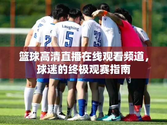 篮球高清直播在线观看频道，球迷的终极观赛指南