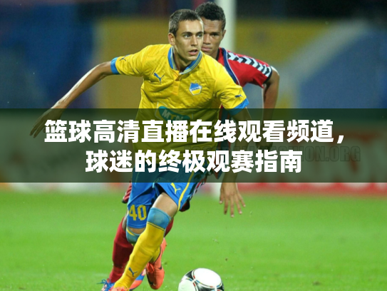 篮球高清直播在线观看频道，球迷的终极观赛指南