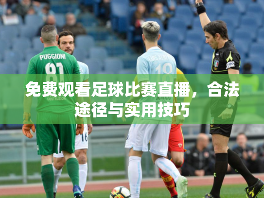 免费观看足球比赛直播，合法途径与实用技巧