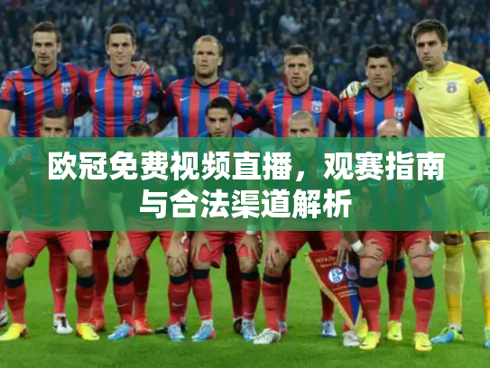 欧冠免费视频直播，观赛指南与合法渠道解析