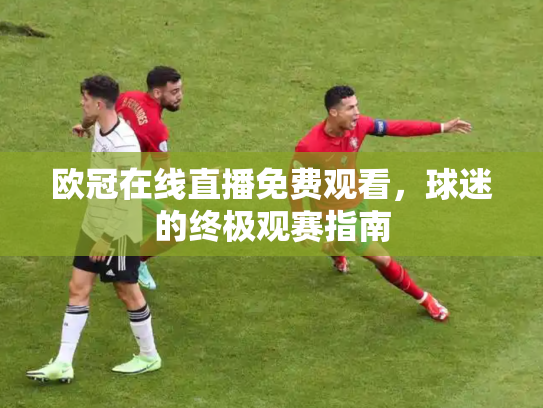 欧冠在线直播免费观看，球迷的终极观赛指南