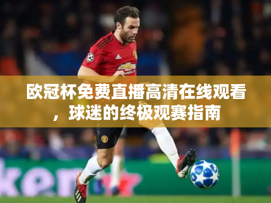 欧冠杯免费直播高清在线观看，球迷的终极观赛指南