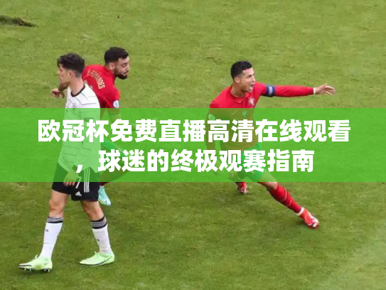 欧冠杯免费直播高清在线观看，球迷的终极观赛指南