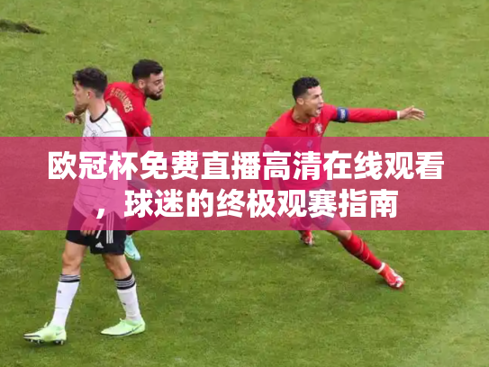 欧冠杯免费直播高清在线观看，球迷的终极观赛指南