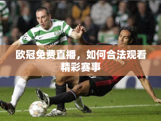 欧冠免费直播，如何合法观看精彩赛事