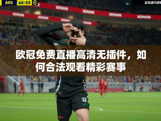 欧冠免费直播高清无插件，如何合法观看精彩赛事