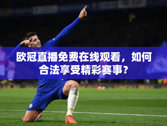 欧冠直播免费在线观看，如何合法享受精彩赛事？