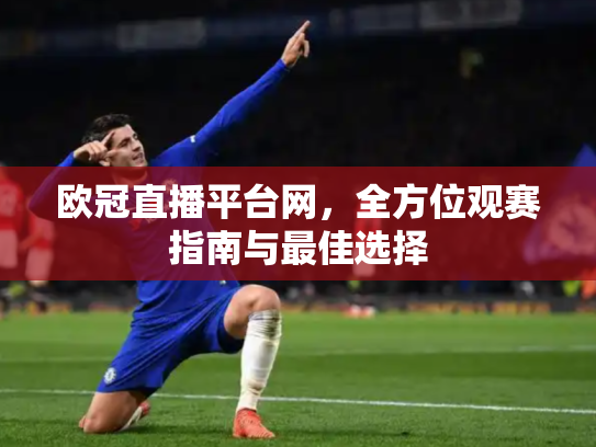 欧冠直播平台网，全方位观赛指南与最佳选择