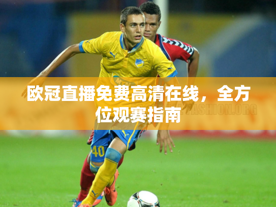 欧冠直播免费高清在线，全方位观赛指南
