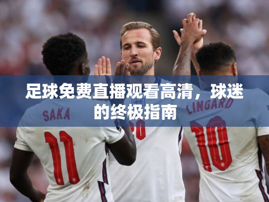 足球免费直播观看高清，球迷的终极指南
