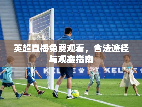 英超直播免费观看，合法途径与观赛指南