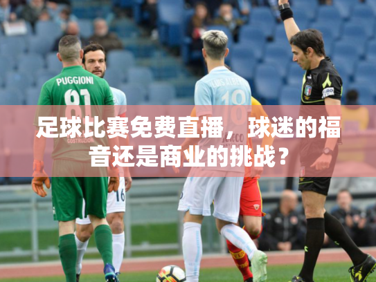 足球比赛免费直播，球迷的福音还是商业的挑战？