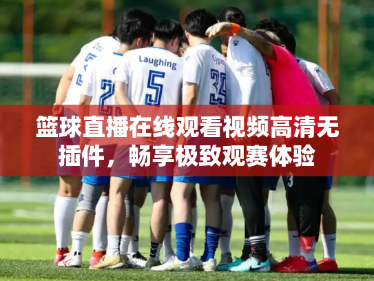篮球直播在线观看视频高清无插件，畅享极致观赛体验