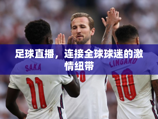 足球直播，连接全球球迷的激情纽带