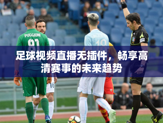 足球视频直播无插件，畅享高清赛事的未来趋势