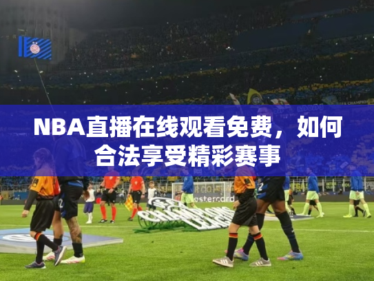 NBA直播在线观看免费，如何合法享受精彩赛事