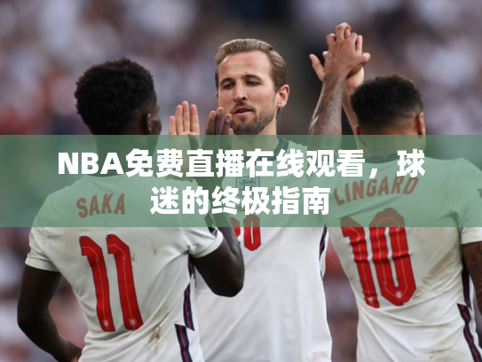 NBA免费直播在线观看，球迷的终极指南
