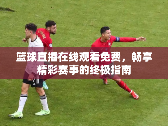 篮球直播在线观看免费，畅享精彩赛事的终极指南