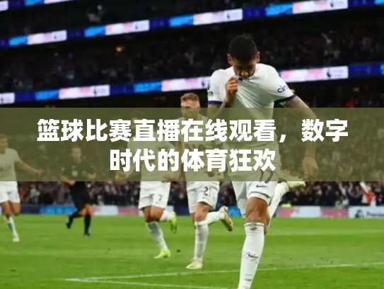 篮球比赛直播在线观看，数字时代的体育狂欢