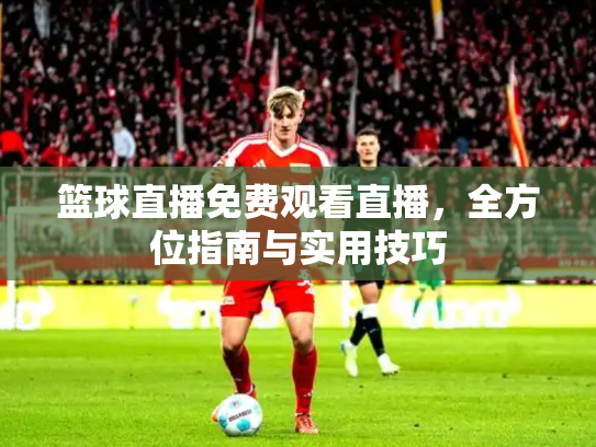 篮球直播免费观看直播，全方位指南与实用技巧