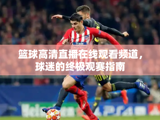 篮球高清直播在线观看频道，球迷的终极观赛指南