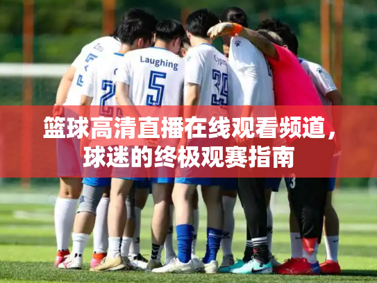 篮球高清直播在线观看频道，球迷的终极观赛指南
