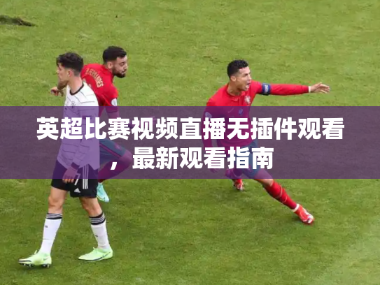英超比赛视频直播无插件观看，最新观看指南