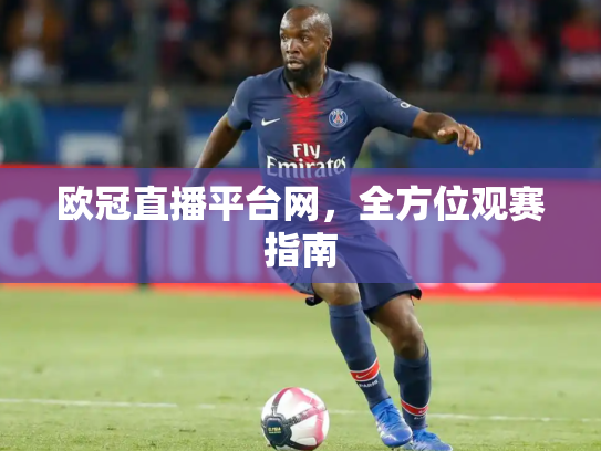 欧冠直播平台网，全方位观赛指南