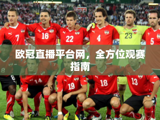 欧冠直播平台网，全方位观赛指南