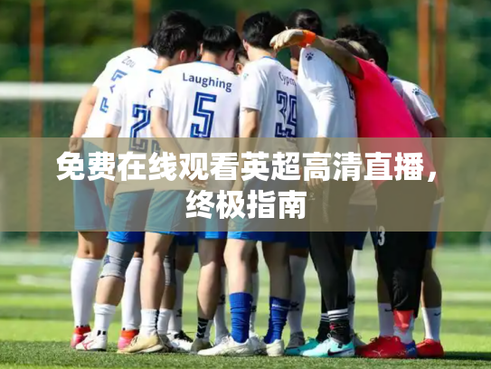 免费在线观看英超高清直播，终极指南