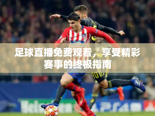 足球直播免费观看，享受精彩赛事的终极指南