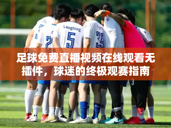 足球免费直播视频在线观看无插件，球迷的终极观赛指南