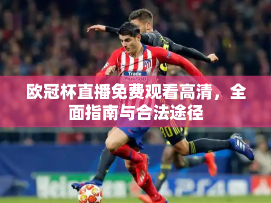 欧冠杯直播免费观看高清，全面指南与合法途径