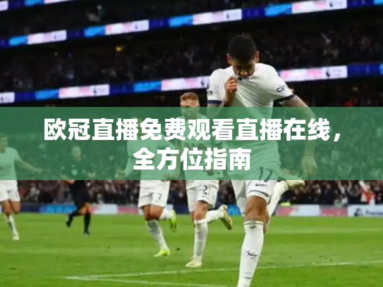 欧冠直播免费观看直播在线，全方位指南