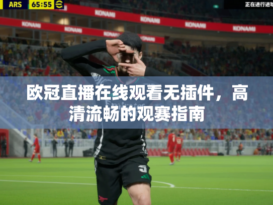 欧冠直播在线观看无插件，高清流畅的观赛指南