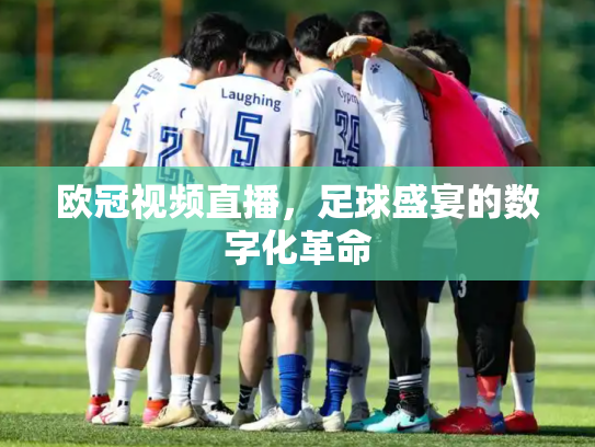 欧冠视频直播，足球盛宴的数字化革命