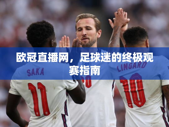 欧冠直播网，足球迷的终极观赛指南
