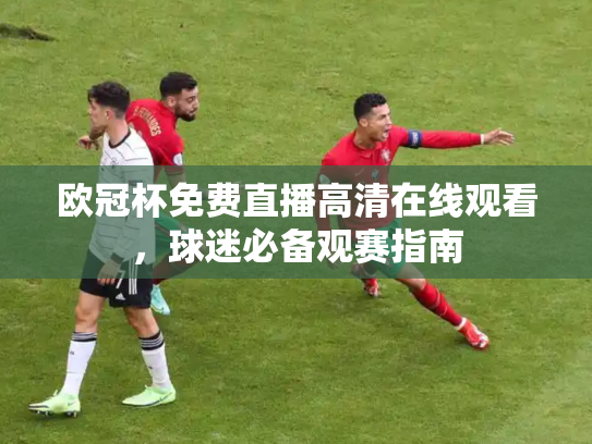 欧冠杯免费直播高清在线观看，球迷必备观赛指南
