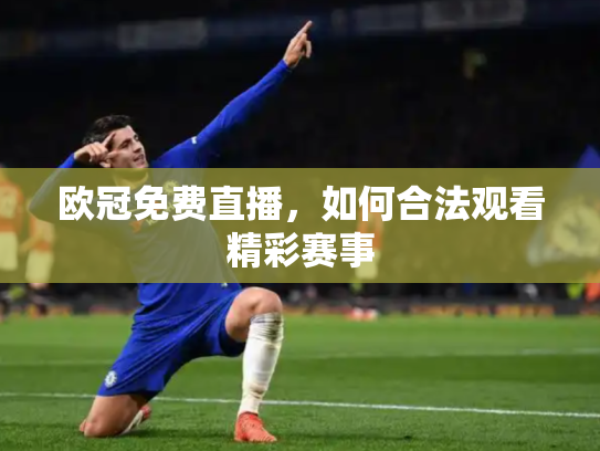 欧冠免费直播，如何合法观看精彩赛事